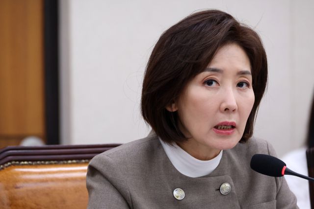 나경원 국민의힘 의원. 연합뉴스