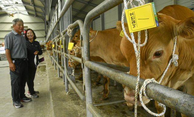 기사의 이해를 돕기 위한 이미지로 직접적 연관은 없습니다. 경기일보DB