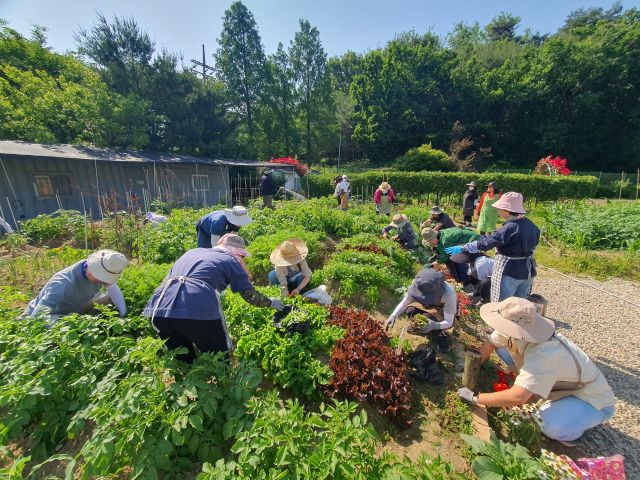 ‘도시농업전문가 양성과정’ 교육생 모집. 남양주시 제공