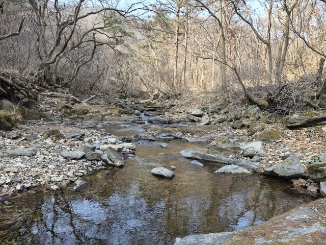 남양주시가 천마산 일대 산림 오염과 훼손 행위 근절 특별단속에 나선다. 남양주시 제공