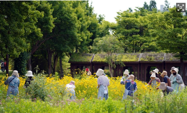 국립수목원 치유정원과 숲길에서 참가자들이 정원치유 프로그램에 참여하고 있다. 국립수목원 제공