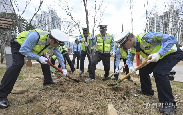 31일 오후 수원특례시 장안구 대유평공원에서 열린 '제81회 식목일 기념 나무심기 행사'에서 수원시새마을회 교통봉사대원들이 나무를 심고있다. 시는 이번 행사에서 산딸나무, 팥배나무, 느티나무 등을 식수했다. 홍기웅기자