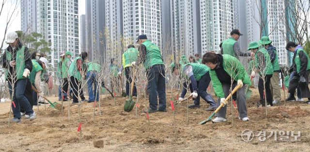 31일 오후 수원특례시 장안구 대유평공원에서 열린 '제81회 식목일 기념 나무심기 행사'에서 수원시새마을회 회원들이 나무를 심고있다. 시는 이번 행사에서 산딸나무, 팥배나무, 느티나무 등을 식수했다. 홍기웅기자