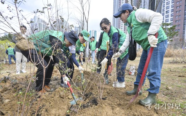 31일 오후 수원특례시 장안구 대유평공원에서 열린 '제81회 식목일 기념 나무심기 행사'에서 수원시새마을회 회원들이 나무를 심고있다. 시는 이번 행사에서 산딸나무, 팥배나무, 느티나무 등을 식수했다. 홍기웅기자