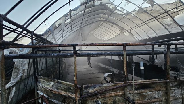 평택 청북읍 비닐하우스 화재현장. 평택소방서 제공