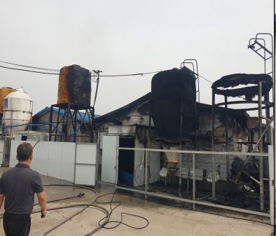 양주시 은현면 하패리 농장 화재현장. 양주소방서 제공