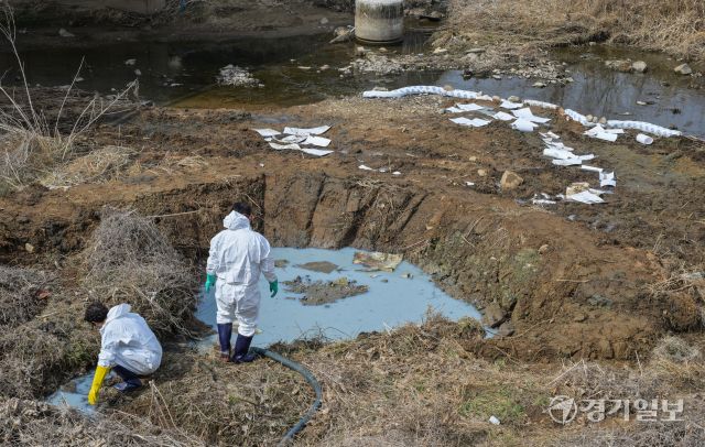 5일 오전 화성특례시 팔탄면 구장리 발안천 일원 기름 유출 사고 현장에서 방제업체 관계자들이 방제 작업을 벌이고 있다. 화성시에 따르면 지난 4일 하천변에서 웅덩이 형태의 고인 물에서 기름 오염이 확인됐고 인근 고철상에서 철스크랩 절삭유가 유출된 것으로 보고 있다. 윤원규기자