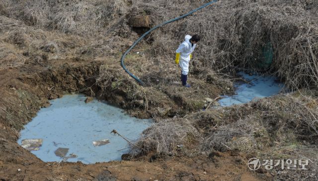 5일 오전 화성특례시 팔탄면 구장리 발안천 일원 기름 유출 사고 현장에서 방제업체 관계자들이 방제 작업을 벌이고 있다. 화성시에 따르면 지난 4일 하천변에서 웅덩이 형태의 고인 물에서 기름 오염이 확인됐고 인근 고철상에서 철스크랩 절삭유가 유출된 것으로 보고 있다. 윤원규기자