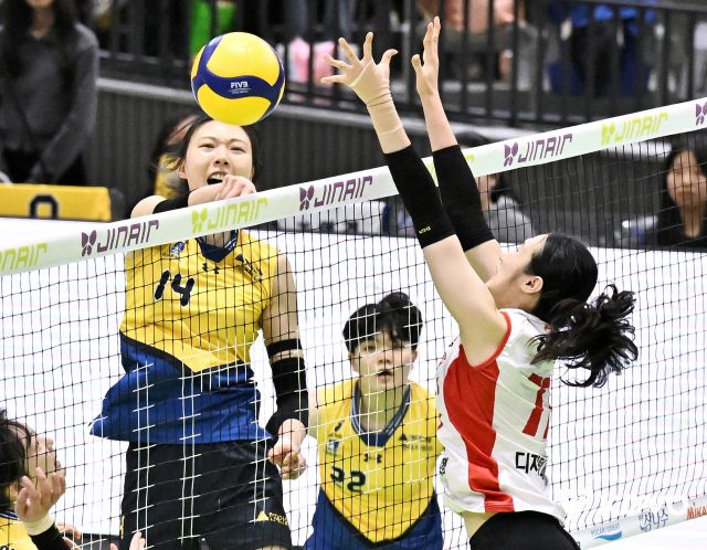 8일 경기도 수원실내체육관에서 열린 프로배구 V리그 여자부 현대건설 힐스테이트와 페퍼저축은행 AI페퍼스의 경기에서 현대건설 양효진이 공격하고 있다. KOVO제공