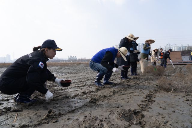 9일 인천 남동구 소래습지 생태공원에서 인천항만공사 등 유관기관 임직원들이 염생식물 파종 활동을 하고 있다. IPA 제공
