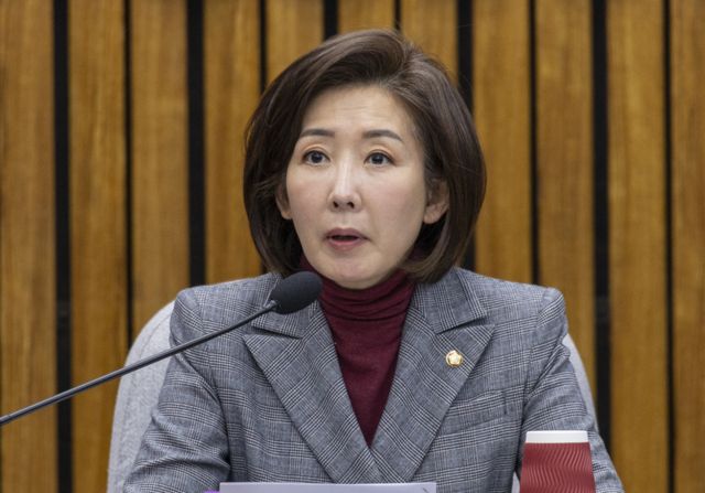 국민의힘 나경원 의원. 연합뉴스