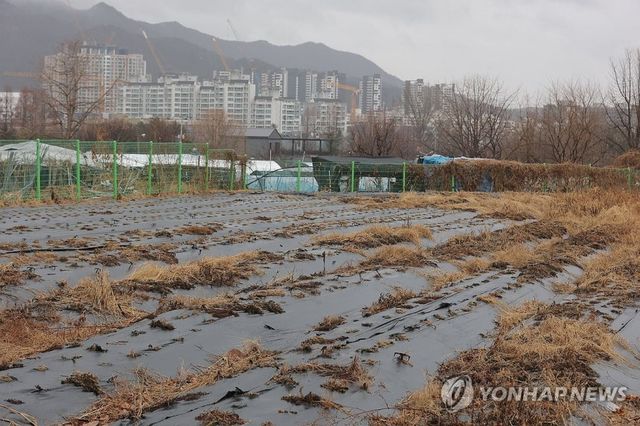 PYH2026030205810001300_P4_20260401084913766