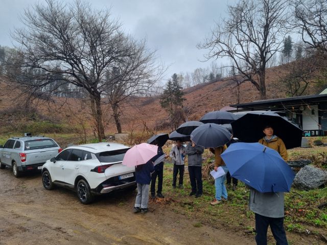 경기도와 산림청, 민간 전문가들이 9일 도청에서 소나무재선충병 확산 차단을 위한 가평군·포천시 맞춤형 방제 컨설팅을 열고 고사목 신속 제거와 전략을 논의했다. 사진은 소나무재선충병 방제 품질향상을 위한 현장 컨설팅 실시 모습. 경기도 제공