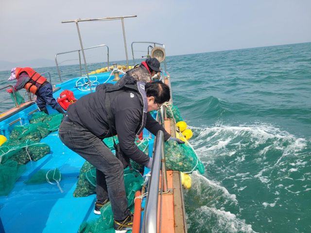 인천 옹진군이 최근 지역 수산자원의 회복과 어업 생산력 증대를 위해 자월면(자월, 대이작, 소이작) 일대 면허 어장에 건강한 어린 전복 종자 약 19만마리를 방류했다. 옹진군 제공