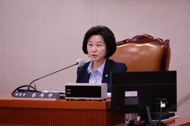 더불어민주당 송옥주 의원. 의원실 제공