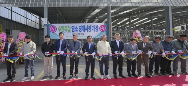 경기남부지역 최초 ‘염소 정기 경매' 시작 [포토뉴스]