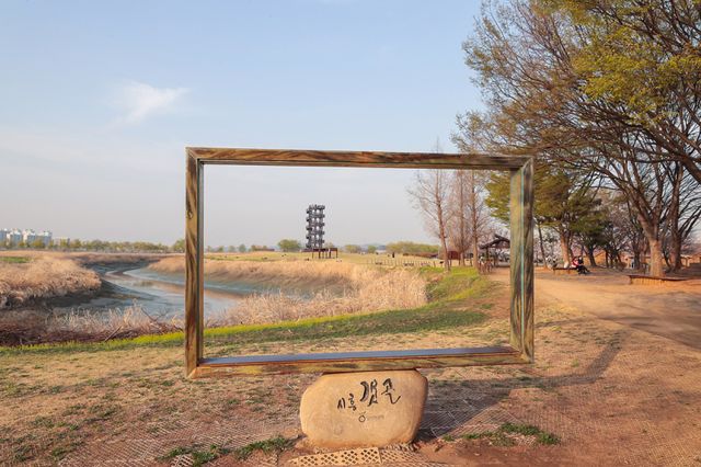 옛 염전의 변신! 봄 맞은 시흥 갯골생태공원의 ‘꽃길’ 풍경 [포토뉴스]