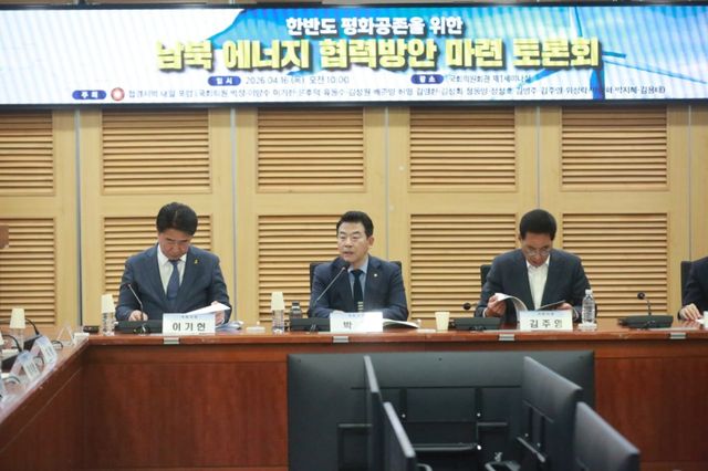 더불어민주당 박정 의원(가운데), 김주영, 이기헌 의원 등이 한반도 평화공존을 위한 남북 에너지협력방안 토론회를 하고 있다. 의원실 제공