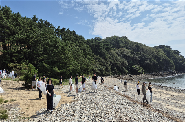 인천 시민들이 옹진군 해안가(대이작도)에서 정화활동을 하고 있다. 인천시 제공