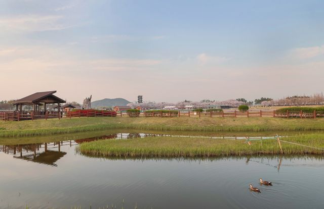 옛 염전의 변신! 봄 맞은 시흥 갯골생태공원의 ‘꽃길’ 풍경 [포토뉴스]