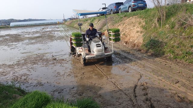 02-1 첫 모내기 실시