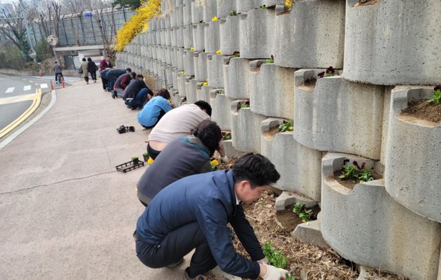 문원동 '걷고 싶은 꽃길' 식재 모습. 과천시 제공