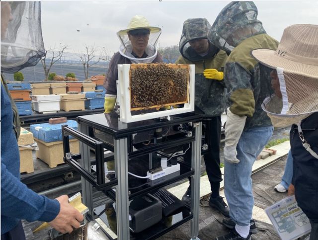 평택시 직원들이 양봉농장을 찾아 인공지능 기반 꿀벌응애 검출장치 실증을 실시하고 있다. 평택시 제공