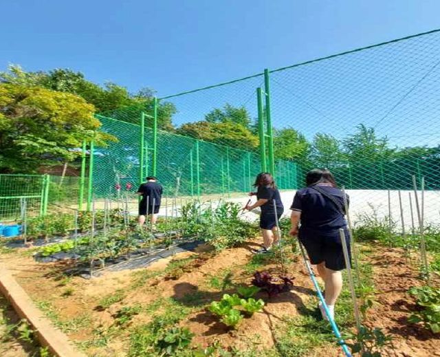 4-3. 파주시, 청소년 도시농업전문가 양성교육 시작