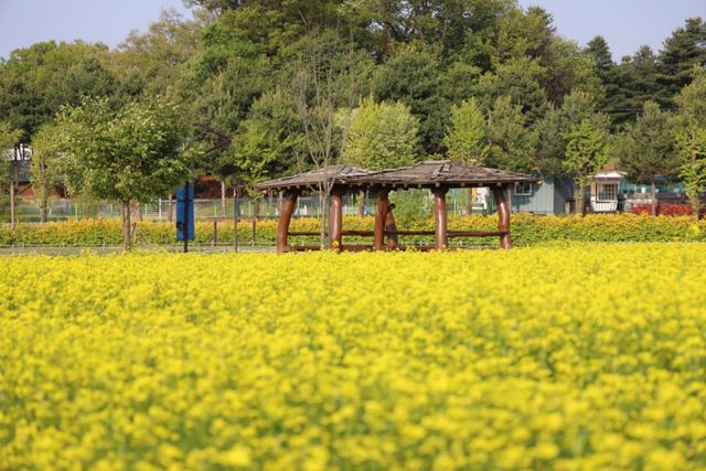 양주나리농원 전경. 양주시 제공