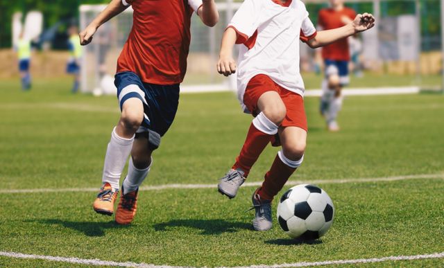 기사의 이해를 돕기 위한 이미지로 기사와 직접적 연관은 없습니다. 클립아트코리아