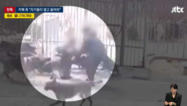 지난달 27일 고양시 덕양구 소재 한 애견 카페에서 20대 여성이 맹견 4마리에게 공격당하는 사건이 발생했다. JTBC 뉴스룸 캡처