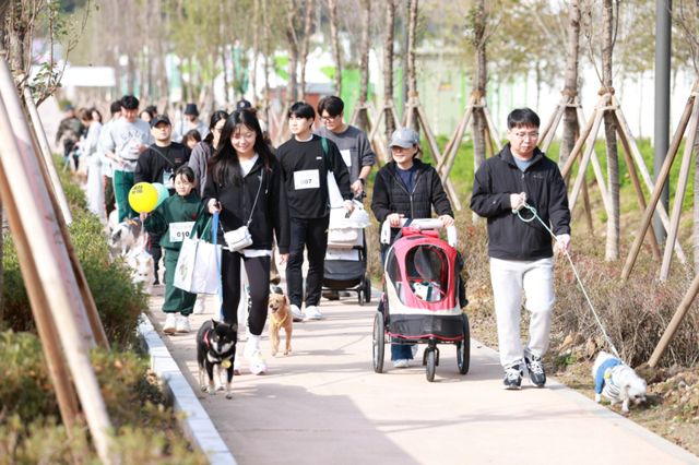 반려견과 함께하는 ‘한탄강 댕댕 트레킹’ 참가자들이 포천시 한탄강 생태경관단지 일대를 걷고 있다. 포천시 제공