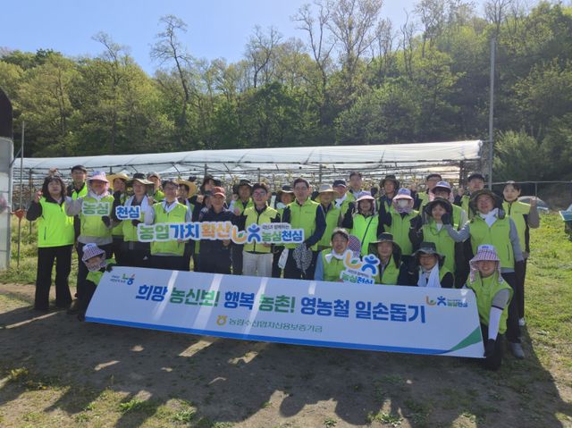 안양농협 영농지원팀이 농림수산업자신용보증기금 임직원과 함께 안양시 만안구 석수동에 위치한 포도 농가를 찾아 농촌 일손돕기 봉사활동을 펼쳤다. 안양농협 제공