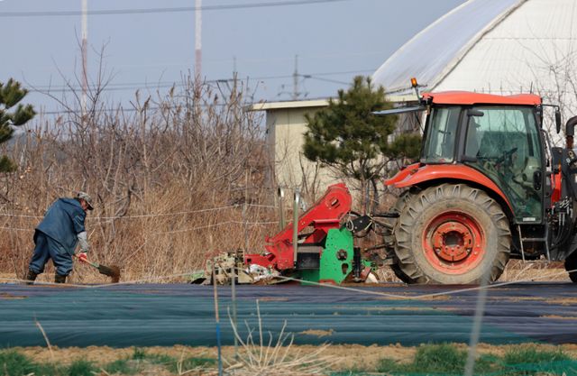 봄기운이 완연한 16일 강원 강릉시 경포동 들녘에서 한 농민이 농사 준비로 바쁜 모습이다. 연합뉴스