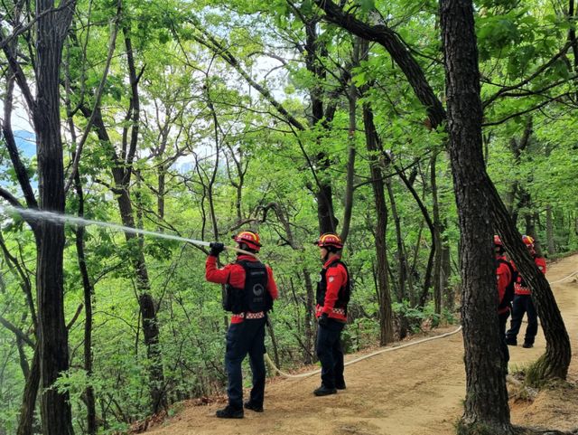 산불재난특수진화대 대원들이 자체 산불 진화훈련을 하고 있다. 서울국유림관리소 제공