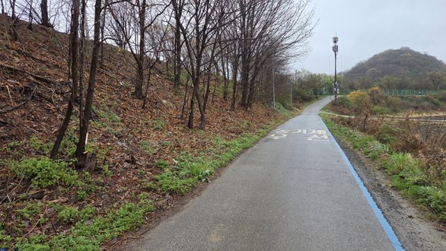 파주시가 민통선 옆길인 평화누리길 자전거도로 위험수목을 제거하는등 이용자 편의를 높였다. 파주시 제공