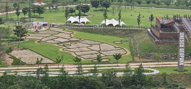 지난해 포천 한탄강에 대한민국 지도를 형상화해 식재한 무궁화가 올해 6월부터 꽃을 피울 예정이다. 손지영기자