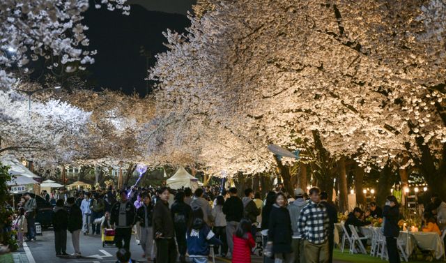 5일 오후 렛츠런파크 서울을 찾은 상춘객들이 활짝 핀 벚꽃을 보며 봄날씨를 즐기고 있다. 지난 3일부터 시작된 올해 벚꽃축제는 ‘馬(마)시멜로’라는 이름으로 오는 12일까지 열리며 야간 경관을 중심으로 야외웨딩 콘셉트의 쉼터 및 드론쇼, 승마 체험 등 다양한 볼거리와 즐길거리가 준비돼 있다. 윤원규기자