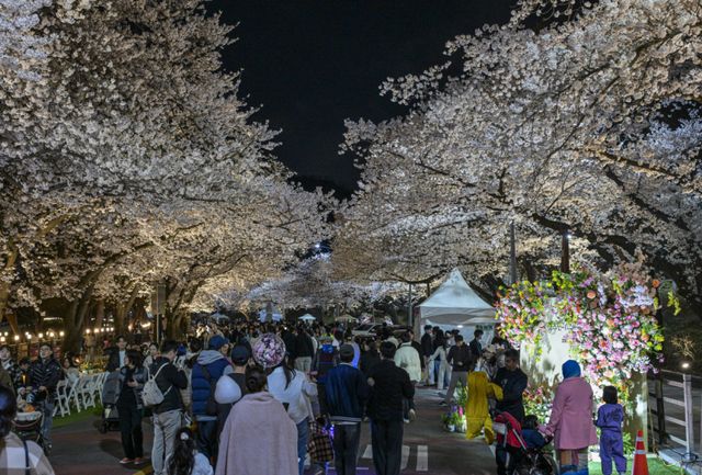5일 오후 렛츠런파크 서울을 찾은 상춘객들이 활짝 핀 벚꽃을 보며 봄날씨를 즐기고 있다. 지난 3일부터 시작된 올해 벚꽃축제는 ‘馬(마)시멜로’라는 이름으로 오는 12일까지 열리며 야간 경관을 중심으로 야외웨딩 콘셉트의 쉼터 및 드론쇼, 승마 체험 등 다양한 볼거리와 즐길거리가 준비돼 있다. 윤원규기자
