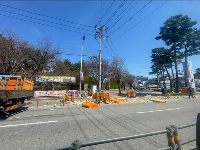 도로로 떨어진 닭. 연합뉴스