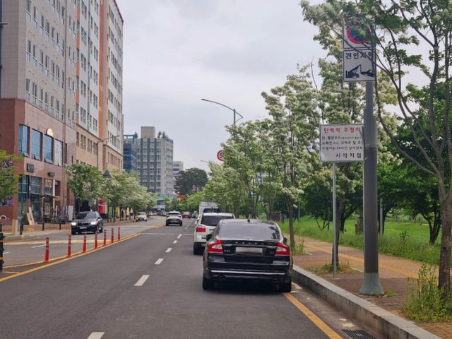파주시 야당동 소리천로 일대 탄력적 주정차 허용구간. 파주시 제공