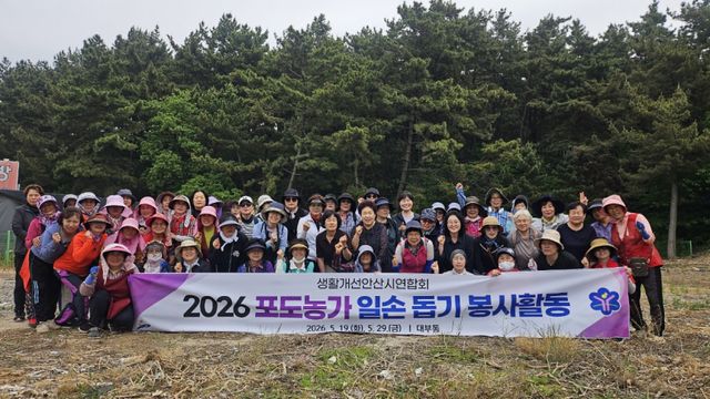 안산시 소속 생활개선안산시연합회 회원 130여명이 일손이 부족한 대부도 포도농가를 방문, 일손돕기를 통해 봉사활동을 실시했다. 안산시 제공