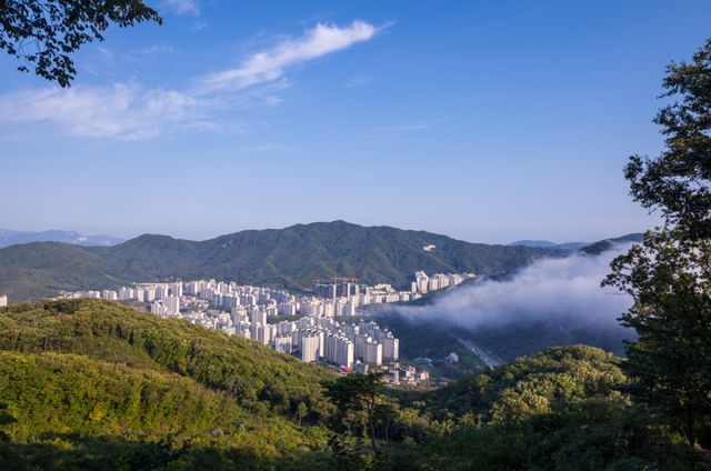 기사와 직접적인 관련 없음. 클립아트코리아