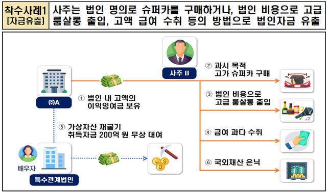 국세청이 적발한 법인 명의의 슈퍼카 사적 사용 사례 안내도. 국세청 제공