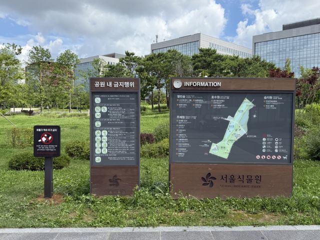 서울시가 다음 달부터 집비둘기 먹이주기 금지구역 단속을 대폭 강화한다. 서울시 제공
