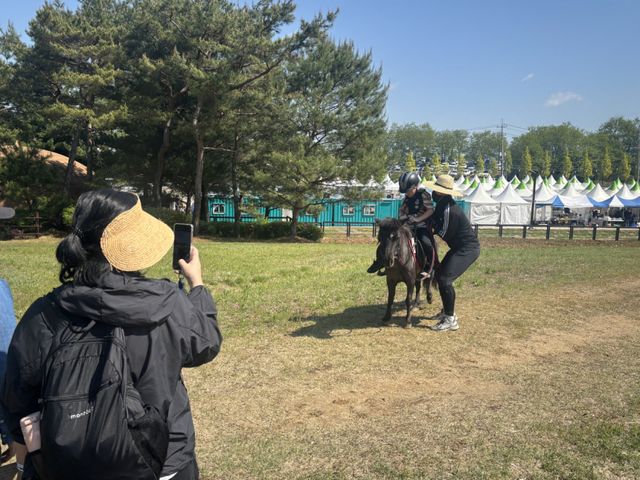 ‘포니랑 놀자 말 문화 체험터’에서 신수현군(9)이 말타기 체험을 하고 있고, 그 장면을 엄마 정윤경씨(43)가 사진 찍고 있다. 서다희 기자