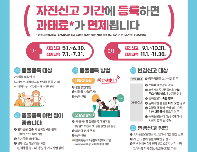 광주시는 동물등록 자진신고 기간을 운영한다. 광주시 제공