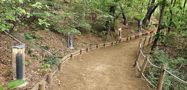 너부대근린공원 산책로를 따라 설치된 경관 조명. 광명시 제공