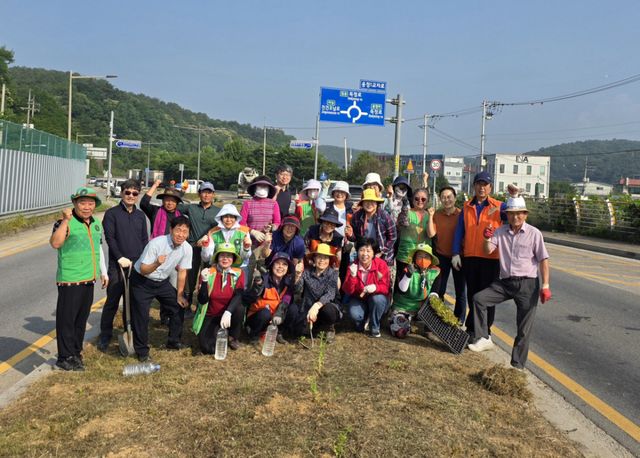 남양주시 진건읍이 11일 남양주시 자율방재단 및 용정1리 부녀회와 용정 회전교차로 및 인근 도로 중앙 화단에 꽃묘를 식재했다.