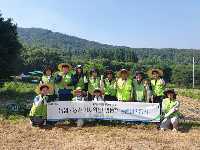 농협의왕시지부와 IT기획부 직원들이 농촌일손돕기 활동을 실시한 뒤 기념촬영을 하고 있다. 농협의왕시지부 제공